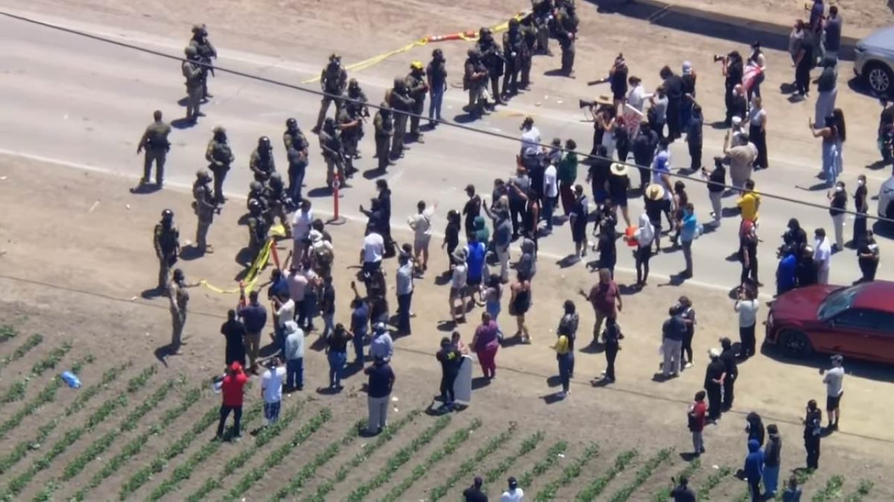 Operativo migratorio en granjas de cannabis en California desencadena enfrentamientos violentos