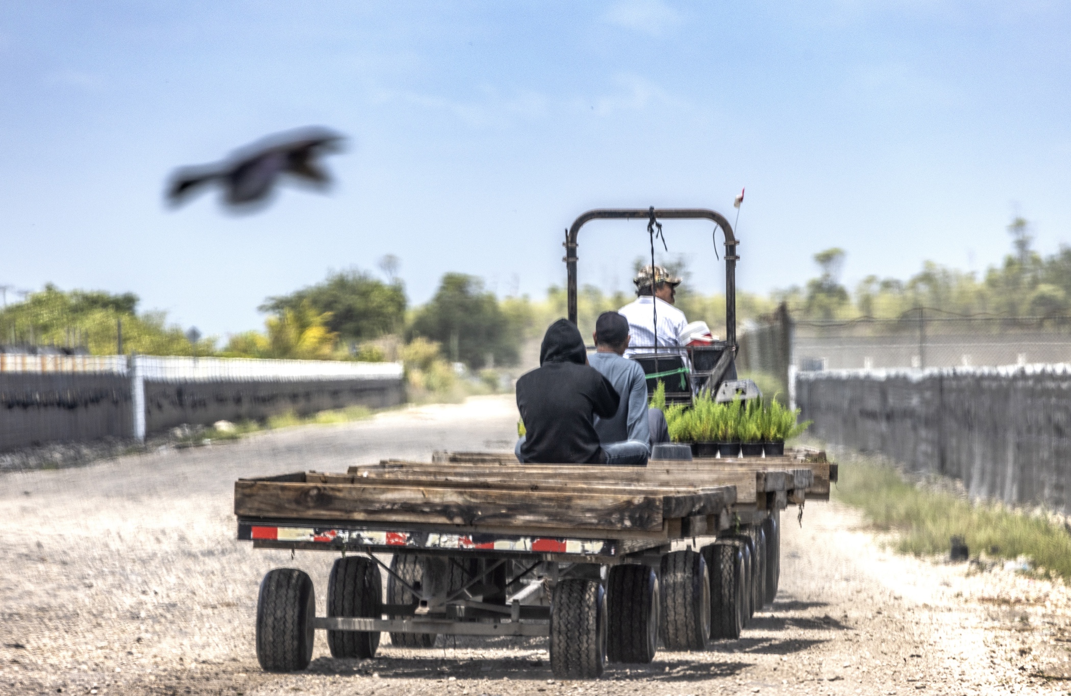 Trump reconoce que los trabajadores migrantes que expulsa son difíciles de reemplazar
