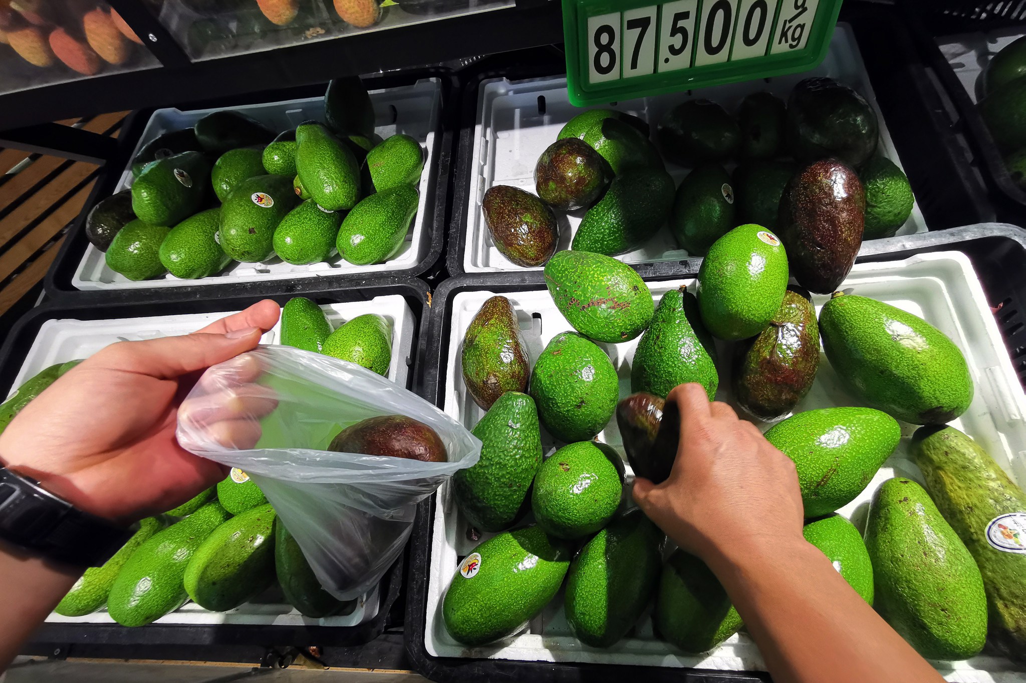 La policía busca a más víctimas de fraude en inversiones de aguacates en California