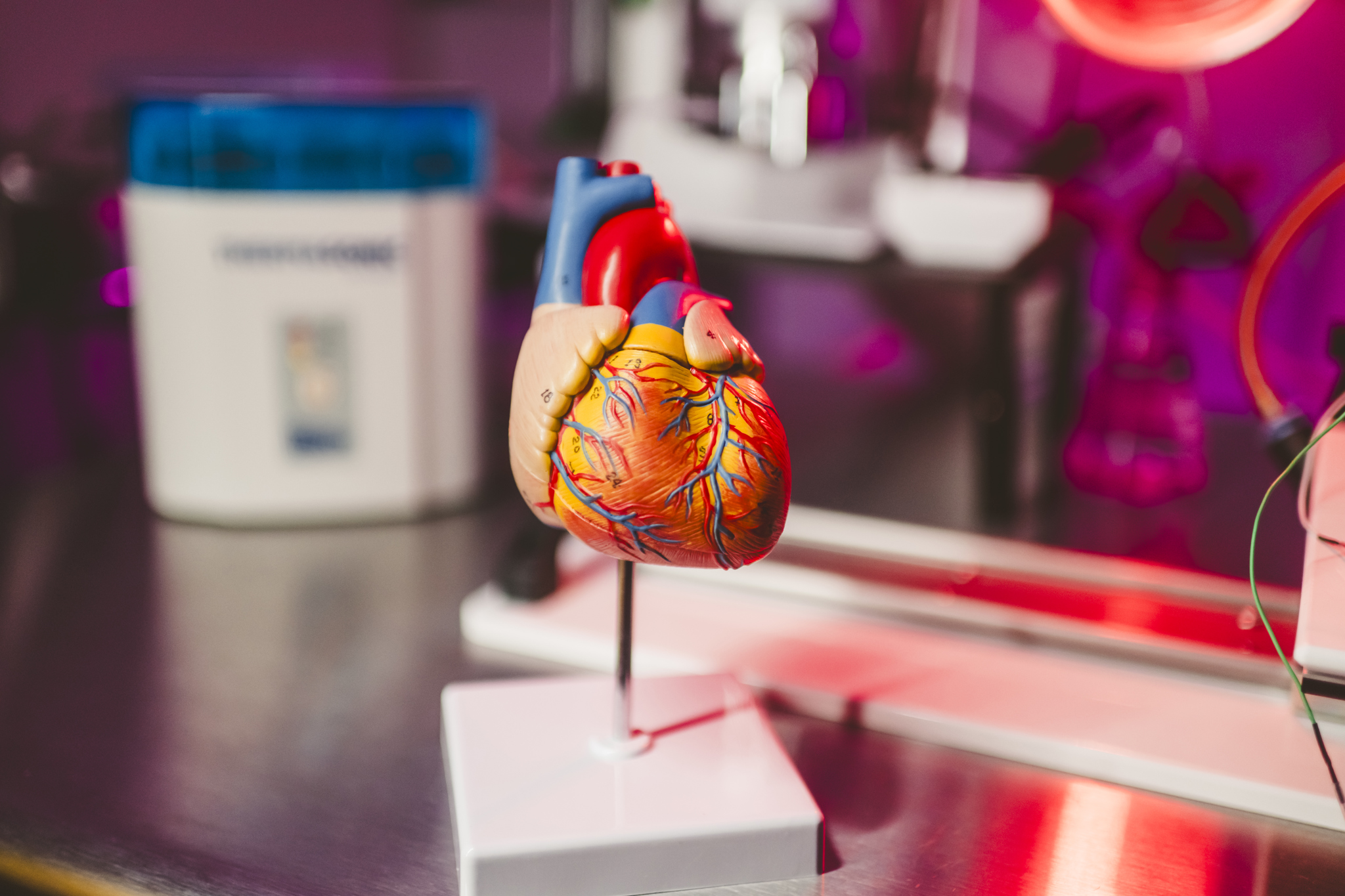 Científicos de EE.UU. crean una IA que busca prevenir infartos oyendo los latidos