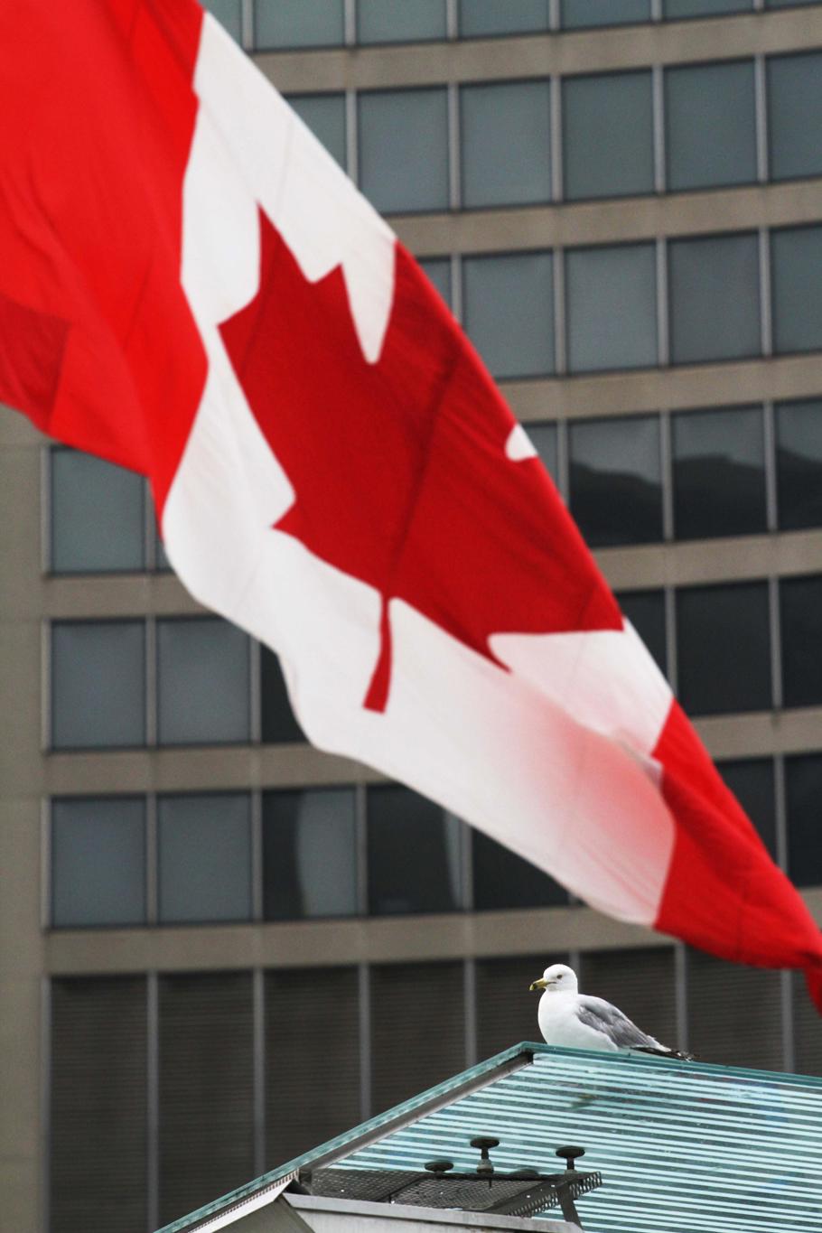 El tiempo de espera en Canadá para obtener la residencia permanente puede llegar a 50 años