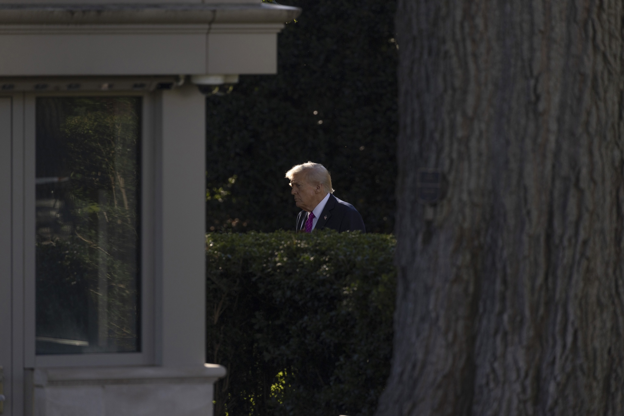 Organizaciones denuncian ante la CIDH a Trump por abusos e ilegalidades contra migrantes