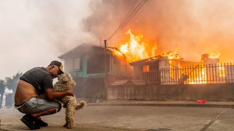 Suben a 19 los muertos en los incendios en Chile entre inquietud por reactivación de focos