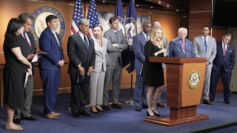 La Cámara de Representantes aprueba una ley para exigir la identificación a los votantes en EE.UU.