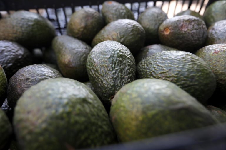 El aguacate de México, la otra estrella que domina el Super Bowl